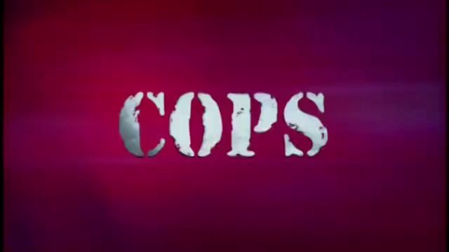 bad boys cops